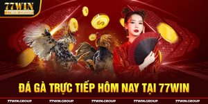 Thông tin về đá gà trực tiếp hôm nay chính xác