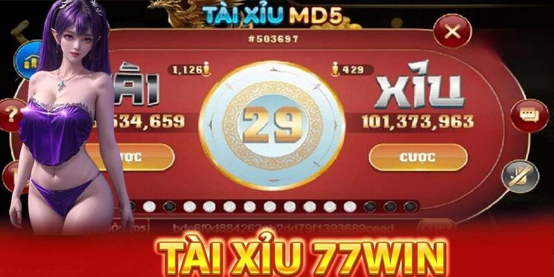 Chơi tài xỉu tại 77Win đa dạng phòng cược, uy tín và công bằng