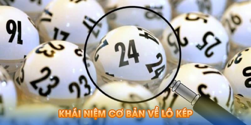 Khái niệm cơ bản về lô kép